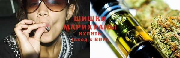 мдпв Козловка