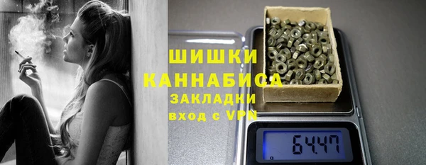 стаф Козельск