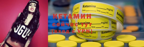 стаф Козельск