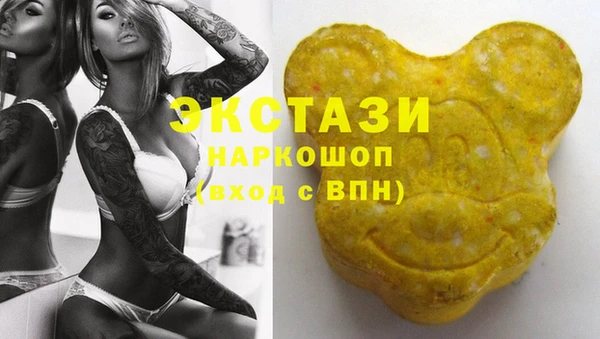 стаф Козельск