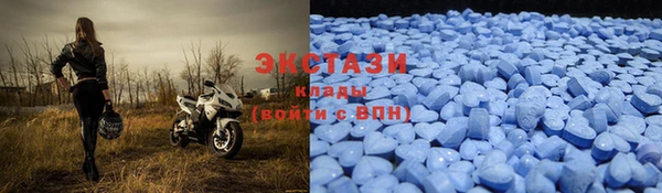 стаф Козельск